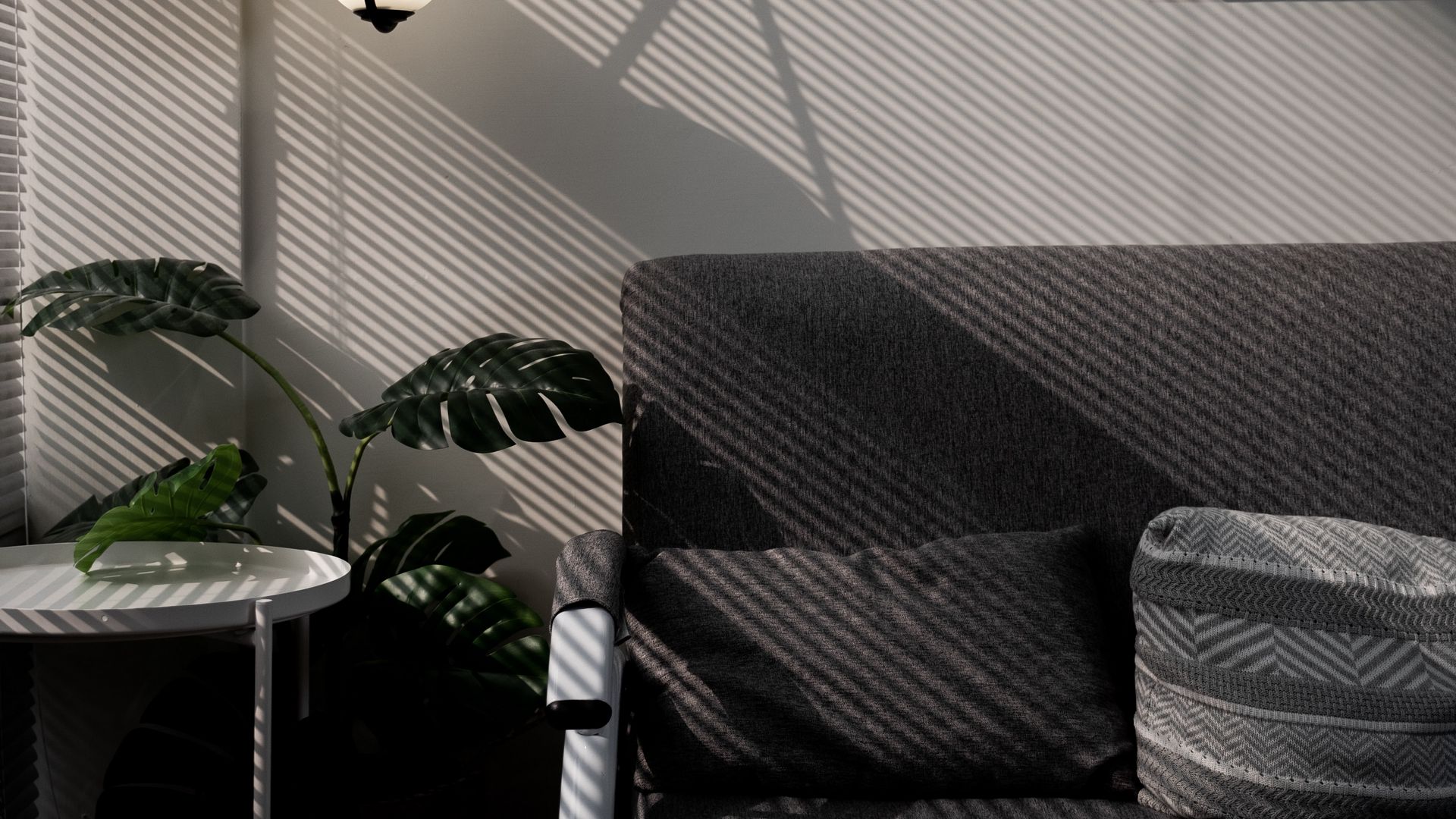 Wallpaper Sofa, Room, Table, Monstera, Interior - Architecture , HD Wallpaper & Backgrounds