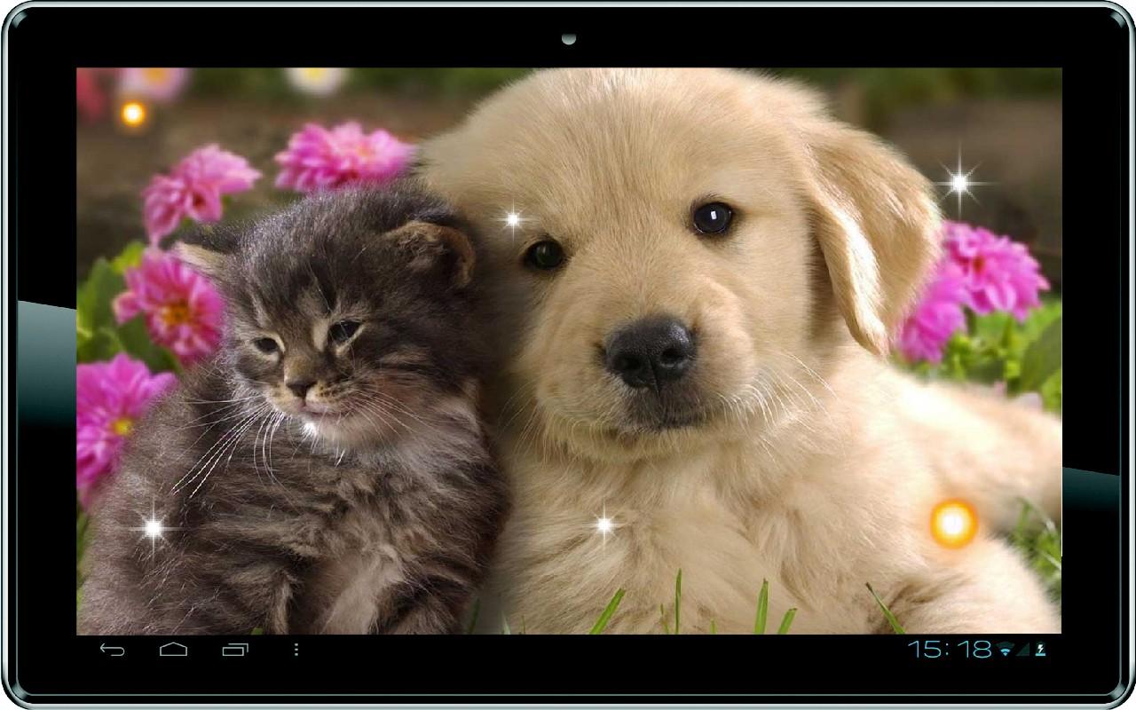 Puppy Best Live Wallpaper Google Play Andr Oid - Pets Wallpaper Hd , HD Wallpaper & Backgrounds