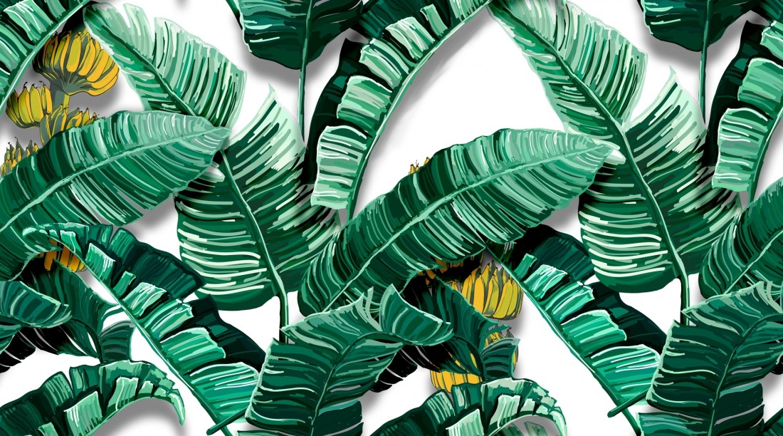 Featured image of post Green Banana Leaf Background Hd - Pngtree offers hd banana leaf background images for free download.