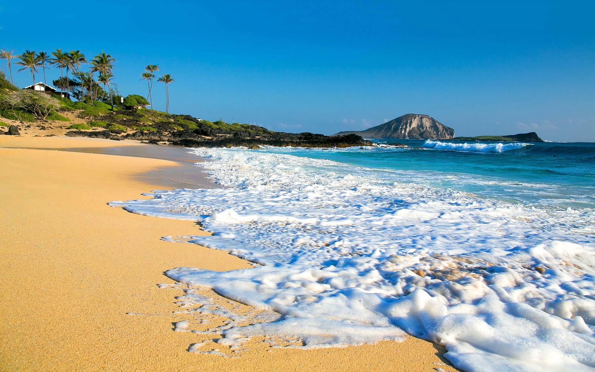 1920x1200, Best Photos Hawaii Beach 2015 - High Resolution Hawaii Beach , HD Wallpaper & Backgrounds