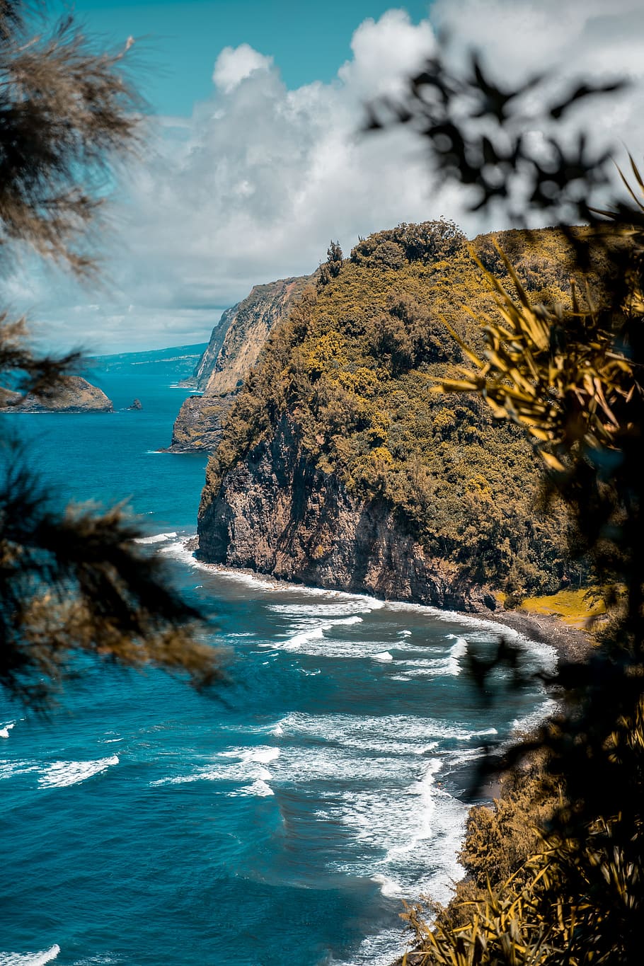 A Hike In Hawaii, Ocean, Cliff, Islands Of Hawaii, - Kohala Forest Reserve , HD Wallpaper & Backgrounds