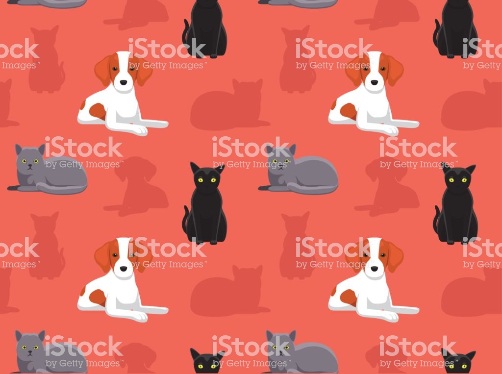 Dog Cat Wallpaper - Stock Photography , HD Wallpaper & Backgrounds
