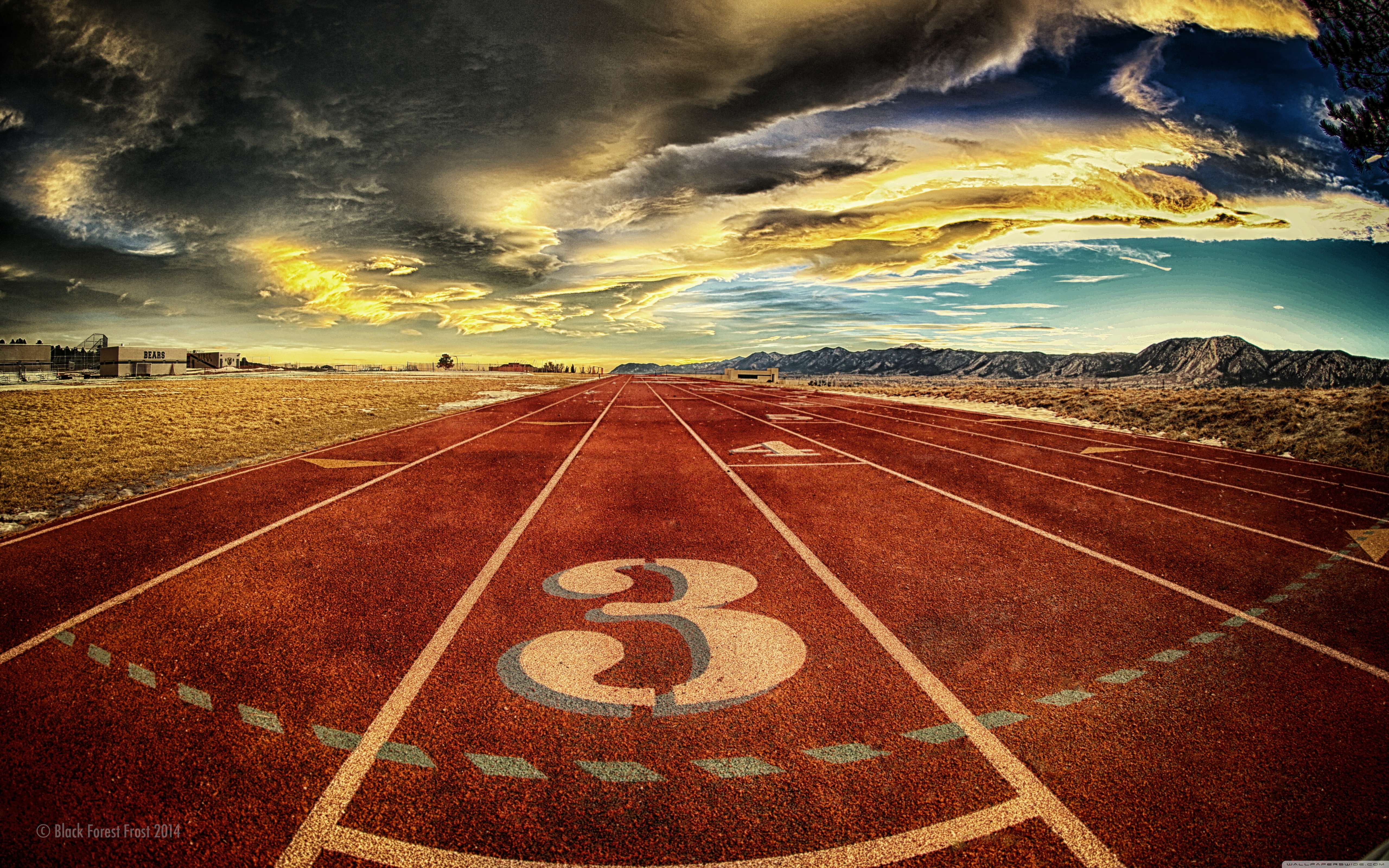 4k Track And Field , HD Wallpaper & Backgrounds