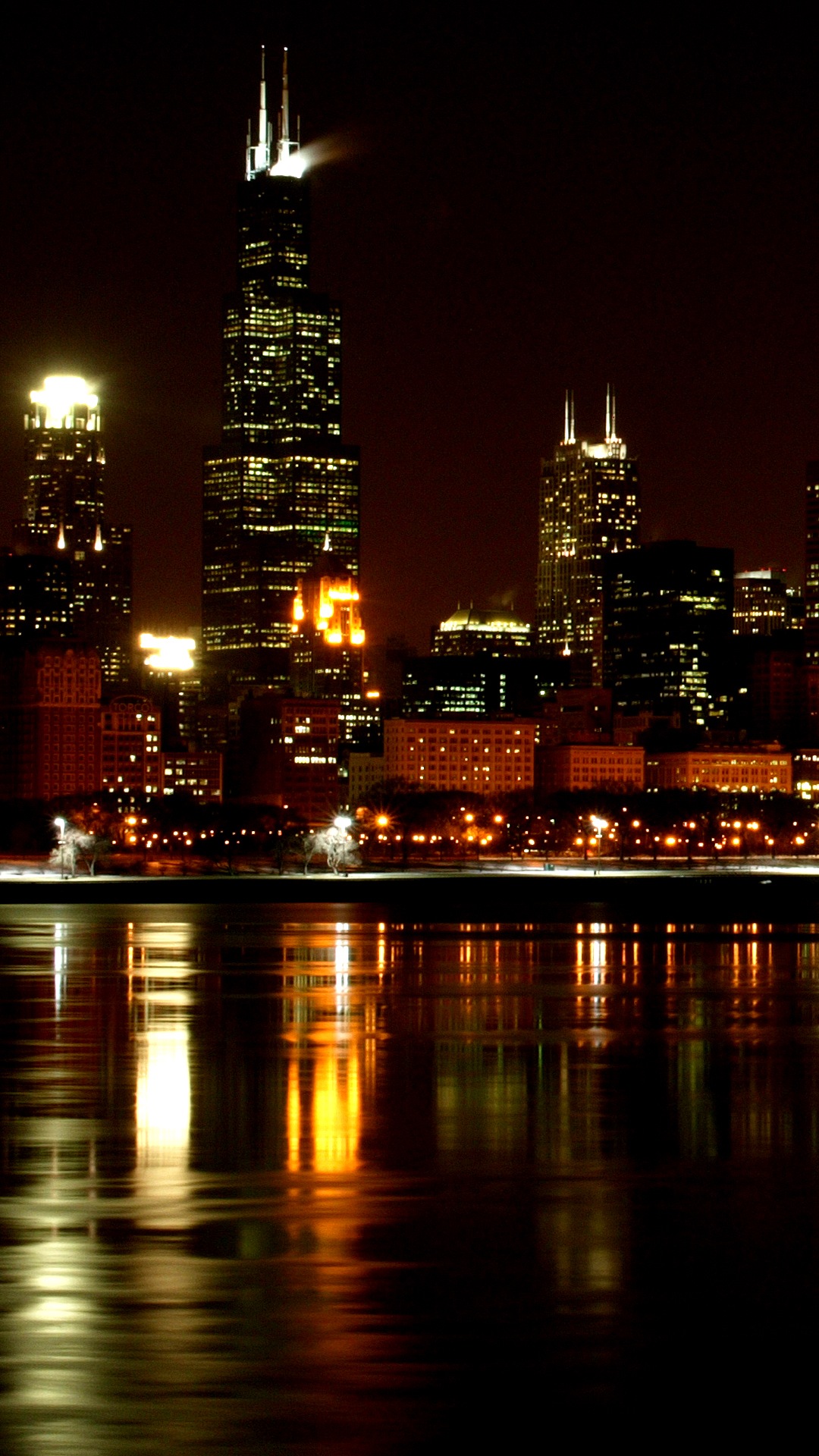 Chicago Skyline Night Vertical , HD Wallpaper & Backgrounds