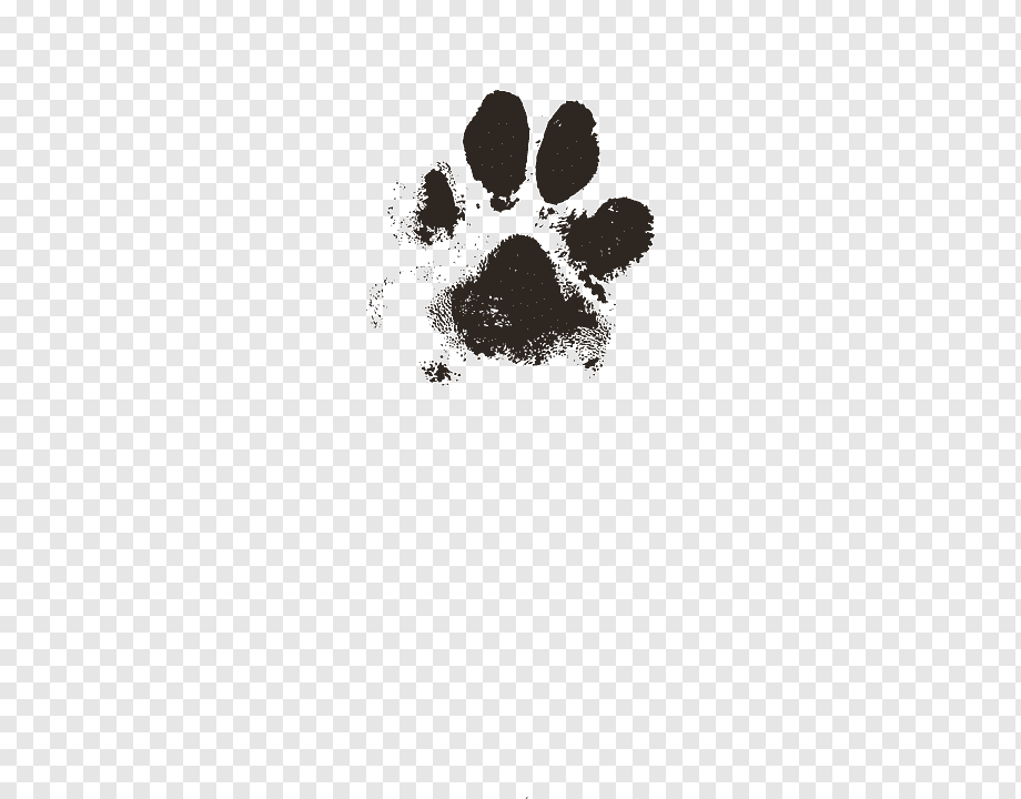 Dog Puppy Paw Cat Pet, Dog, Animals, Paw, Computer - Paw Print Real Dog , HD Wallpaper & Backgrounds