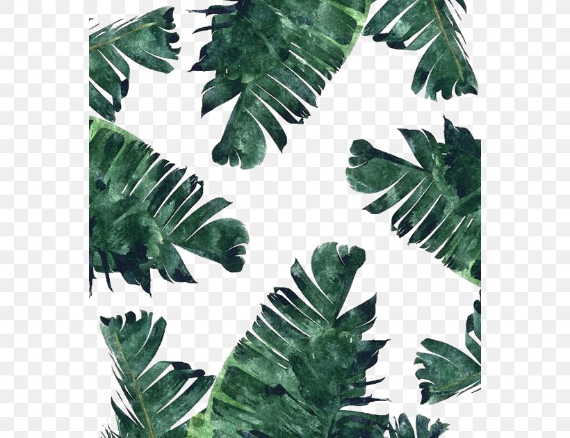 Dark Green Leaf Print , HD Wallpaper & Backgrounds