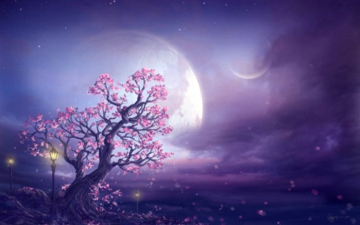 Dreaming Wallpaper Pack Wallpapers - Cherry Blossom And Moon , HD Wallpaper & Backgrounds