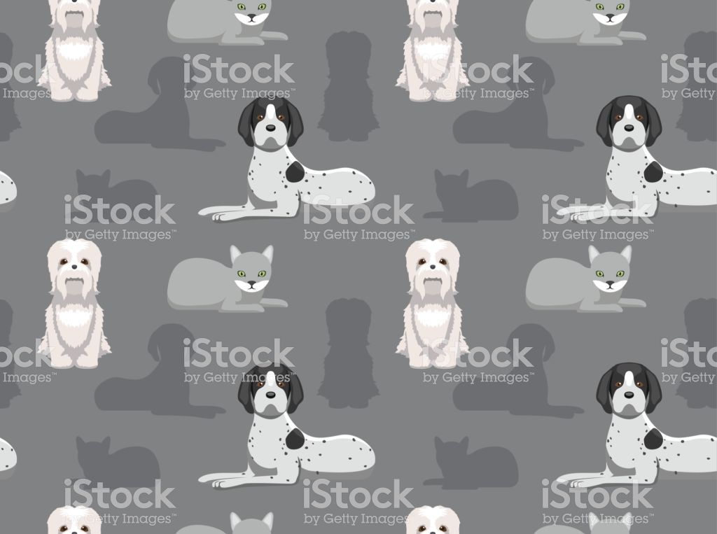 Dog Cat Wallpaper - Cat , HD Wallpaper & Backgrounds