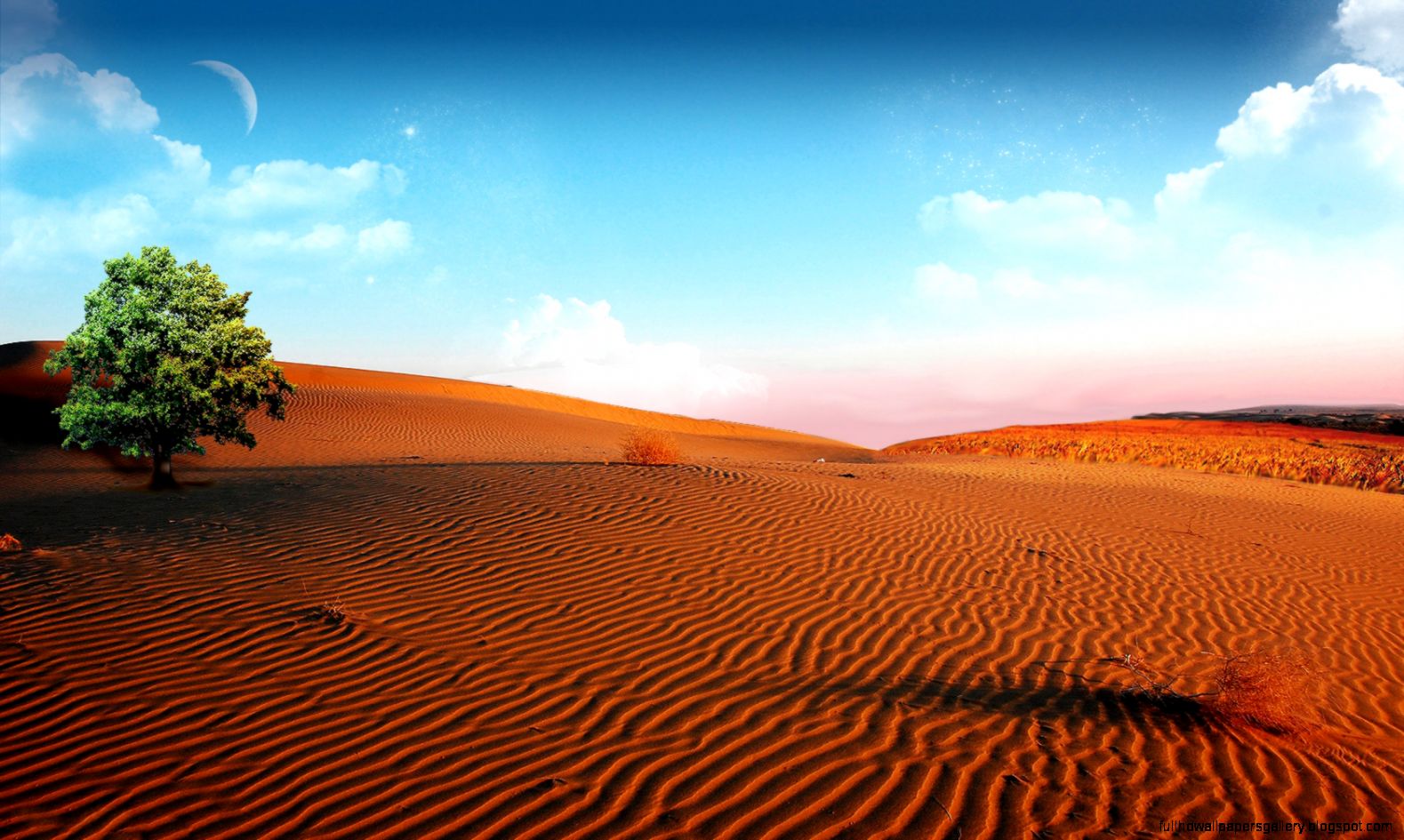 Collection Of Desert Backgrounds Desert High Definition - High Resolution Desert Background , HD Wallpaper & Backgrounds