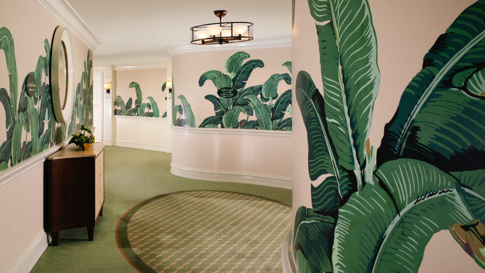 Beverly Hills Hotel Leaf , HD Wallpaper & Backgrounds