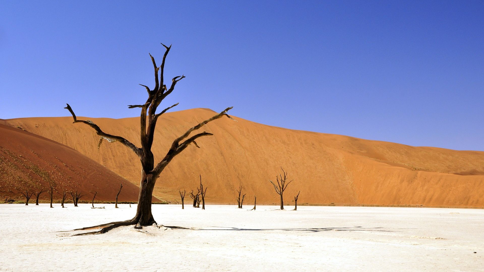 Namib Desert Sand Hd Wallpaper - Namib Desert , HD Wallpaper & Backgrounds