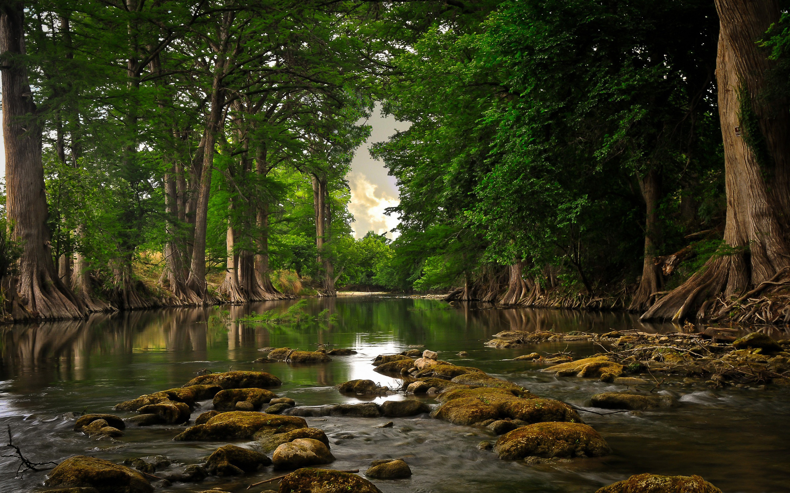 Secluded River - Fondos De Pantalla De Naturaleza Hd , HD Wallpaper & Backgrounds