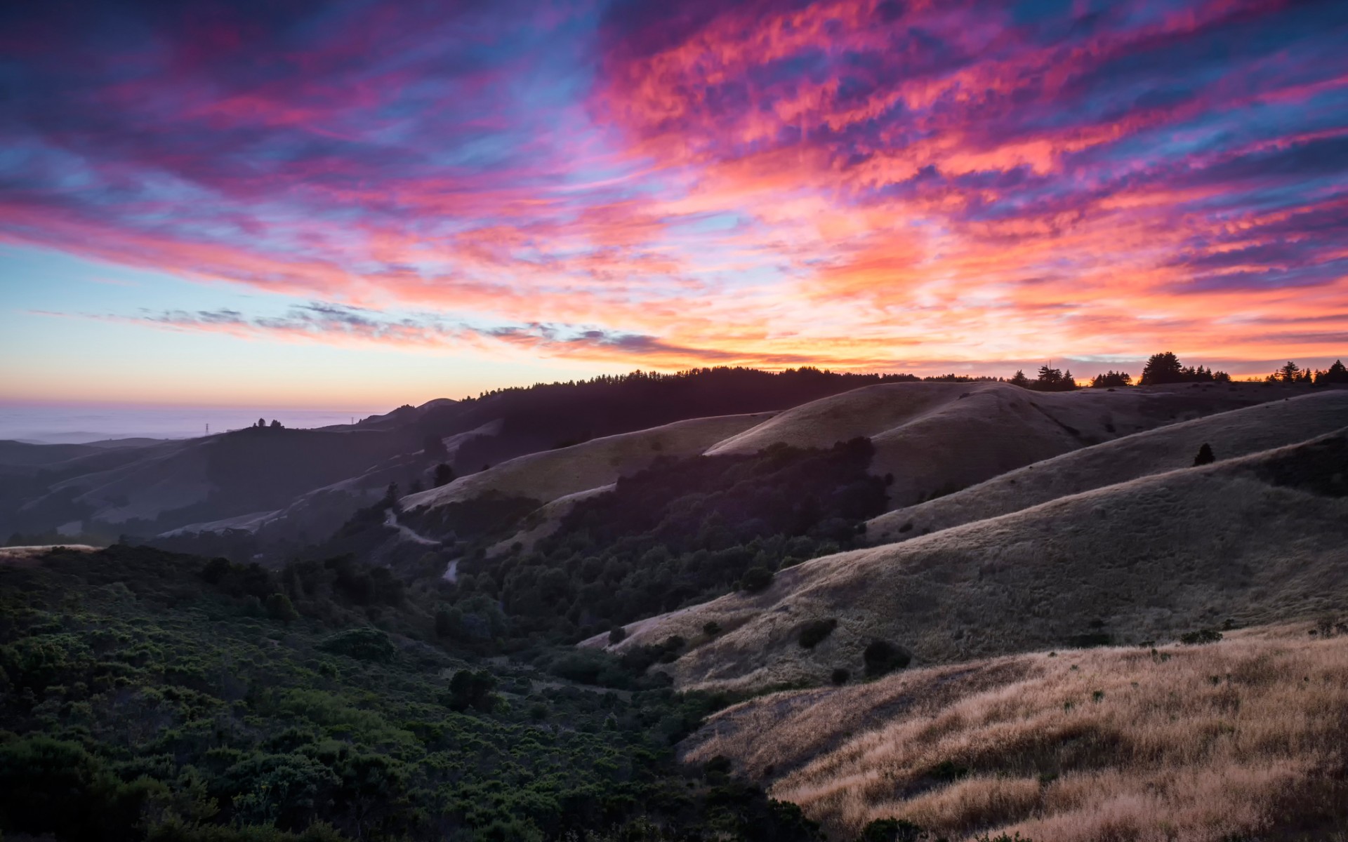 Windy Hill Open Space Preserve , HD Wallpaper & Backgrounds