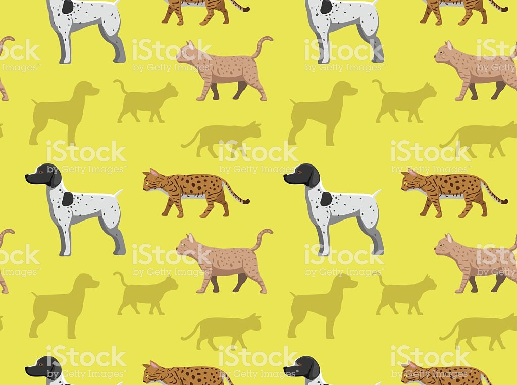 Dog Cat Wallpaper - Herd , HD Wallpaper & Backgrounds