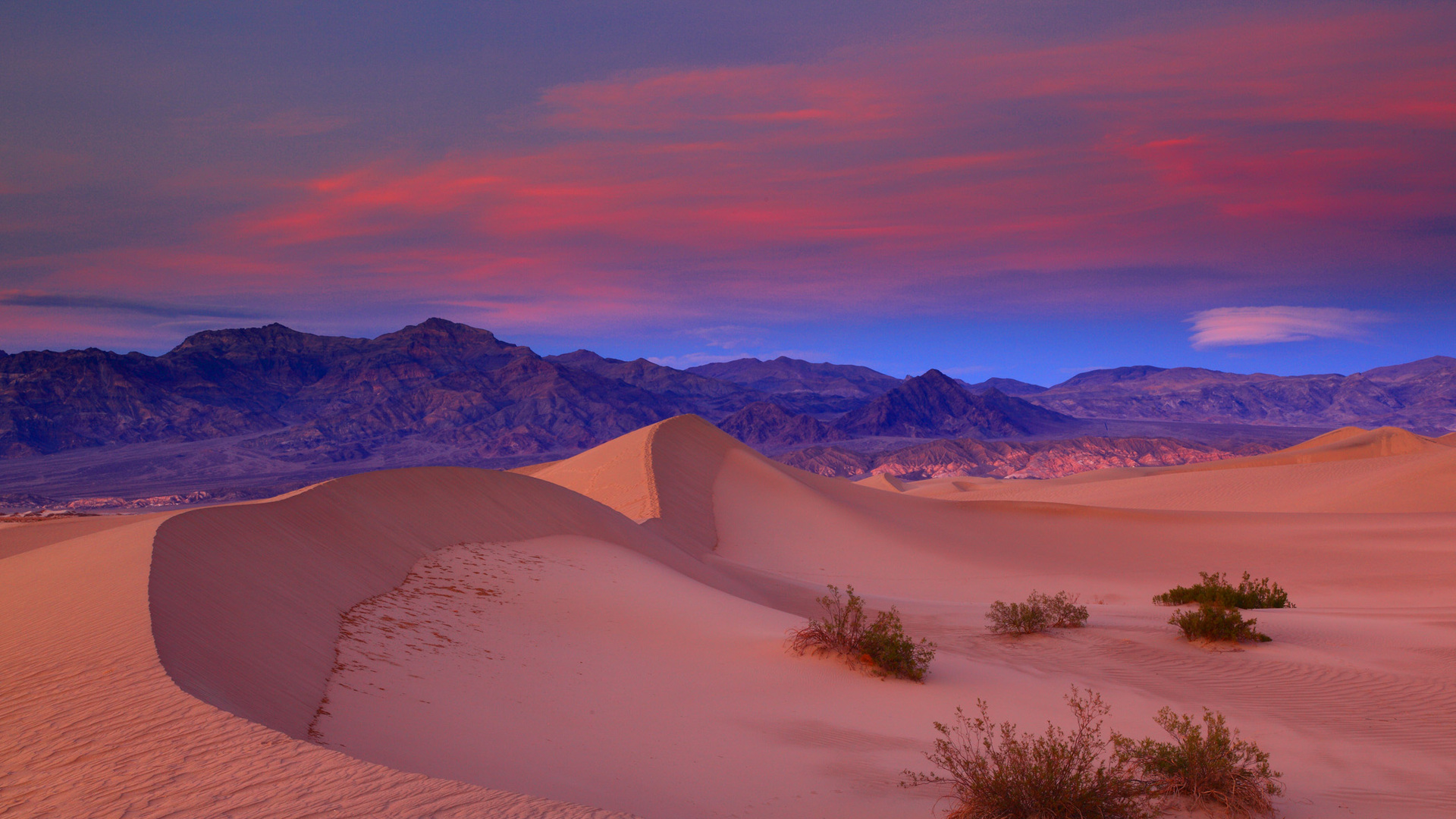 Desert Landscape Wallpaper - California Desert Purple Sand , HD Wallpaper & Backgrounds