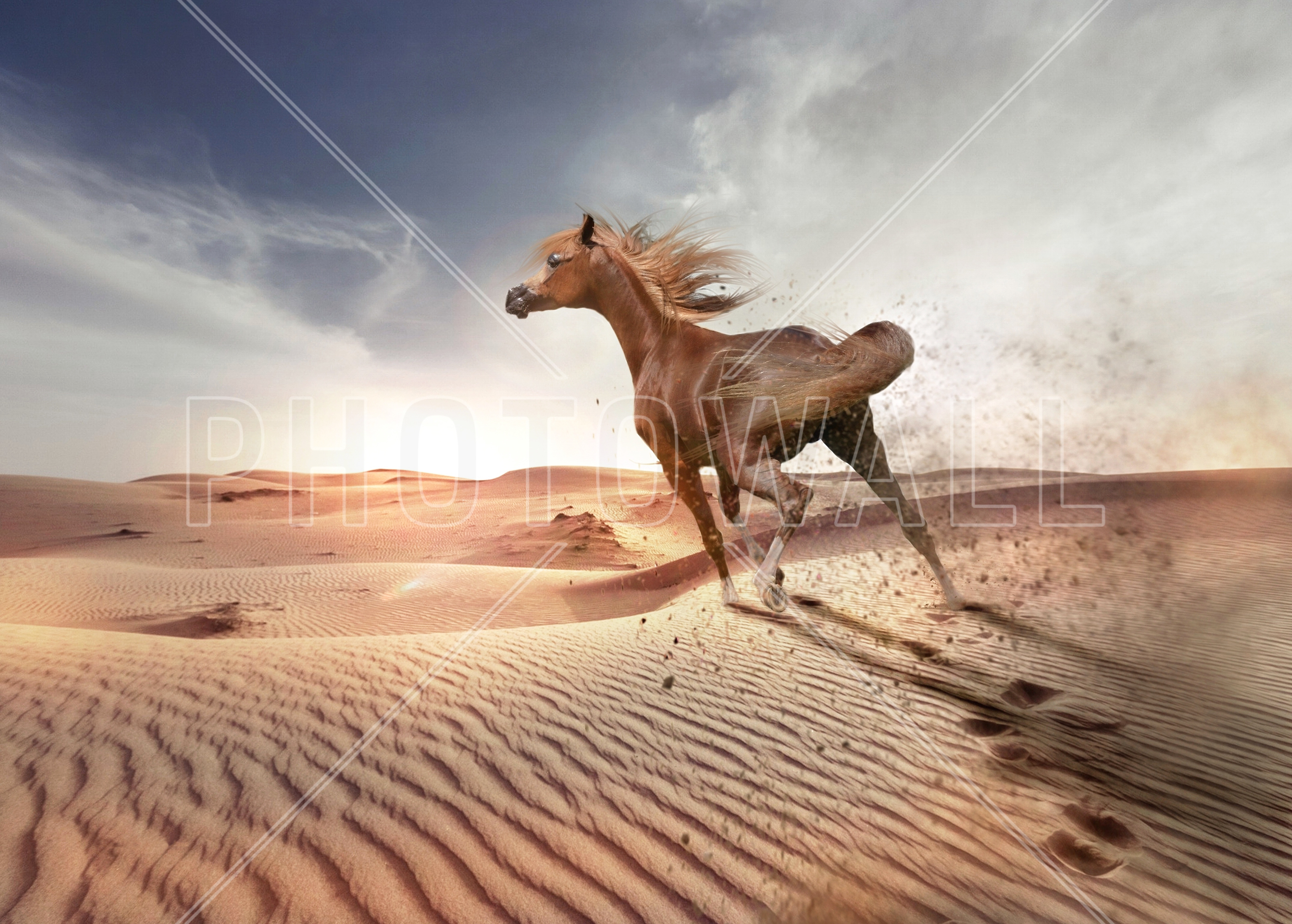 Running Horse In The Desert - Arabian Horse In Desert , HD Wallpaper & Backgrounds