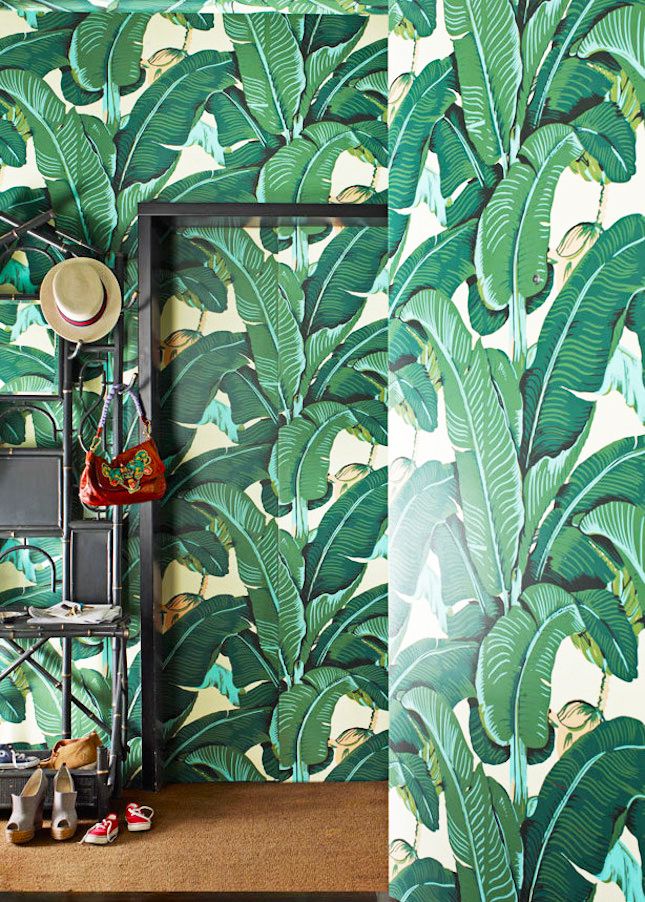 Banana Leaf Wallpaper Cole And Son , HD Wallpaper & Backgrounds