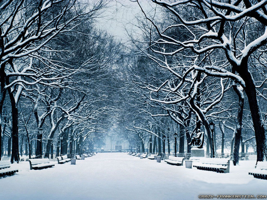 Albany Ny In Winter , HD Wallpaper & Backgrounds