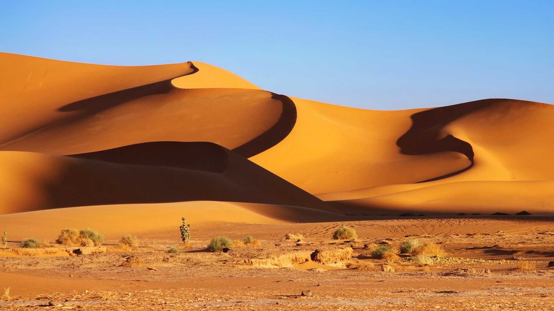 Desert Sand Dune Hd Wallpaper - Hd Desert Sand Dunes , HD Wallpaper & Backgrounds