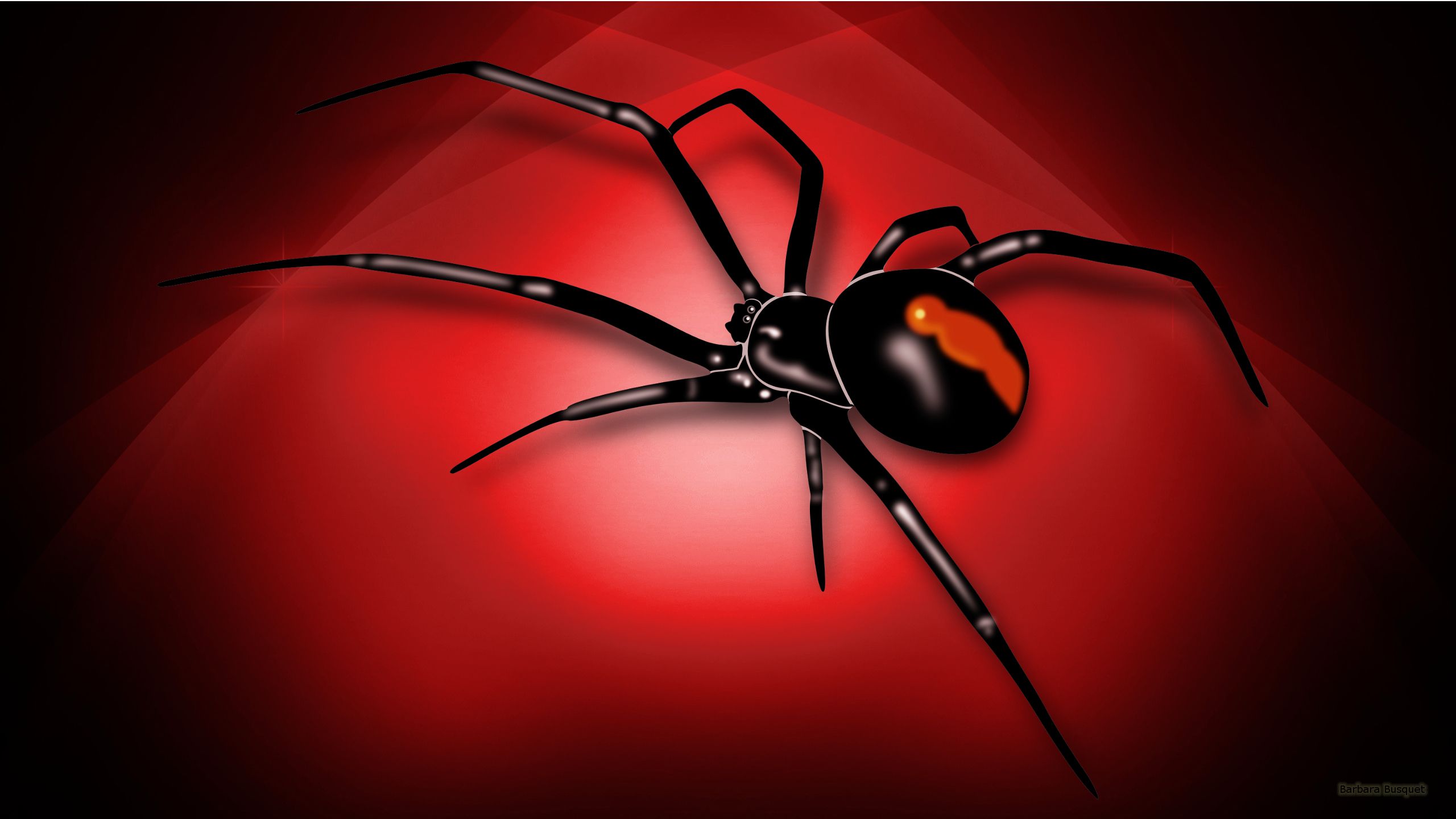 3d Spider Wallpaper Wallpaper Backgrounds Robot Wallpaper - Black Widow Spider Backgrounds , HD Wallpaper & Backgrounds