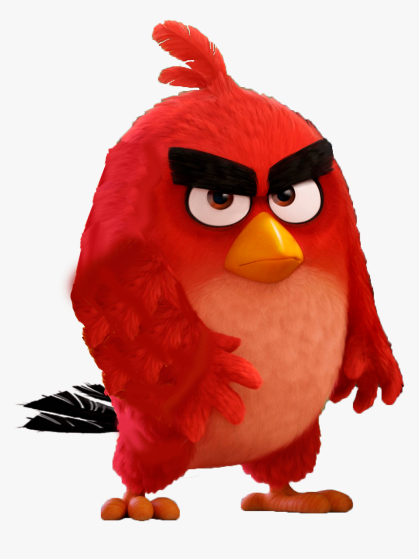 Angry Bird Wallpaper 4k, Hd Png Download, Free Download - Angry Bird Wallpaper Hd , HD Wallpaper & Backgrounds