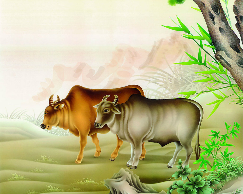 Cow Wallpaper Download , HD Wallpaper & Backgrounds