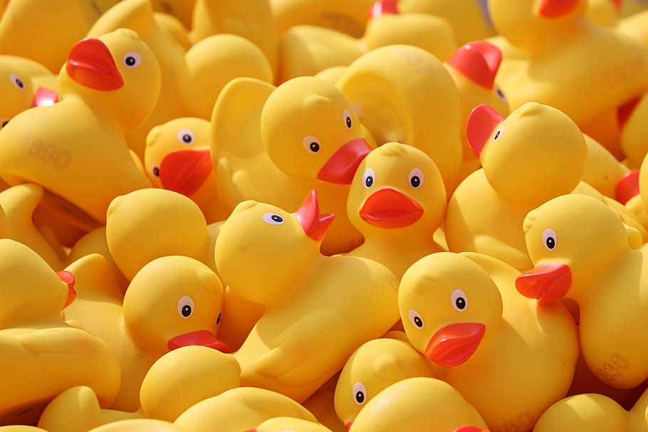 Duck Meet, Ducks, Rubber Ducks, Plastic Ducks, Duck - Rubber Ducks , HD Wallpaper & Backgrounds
