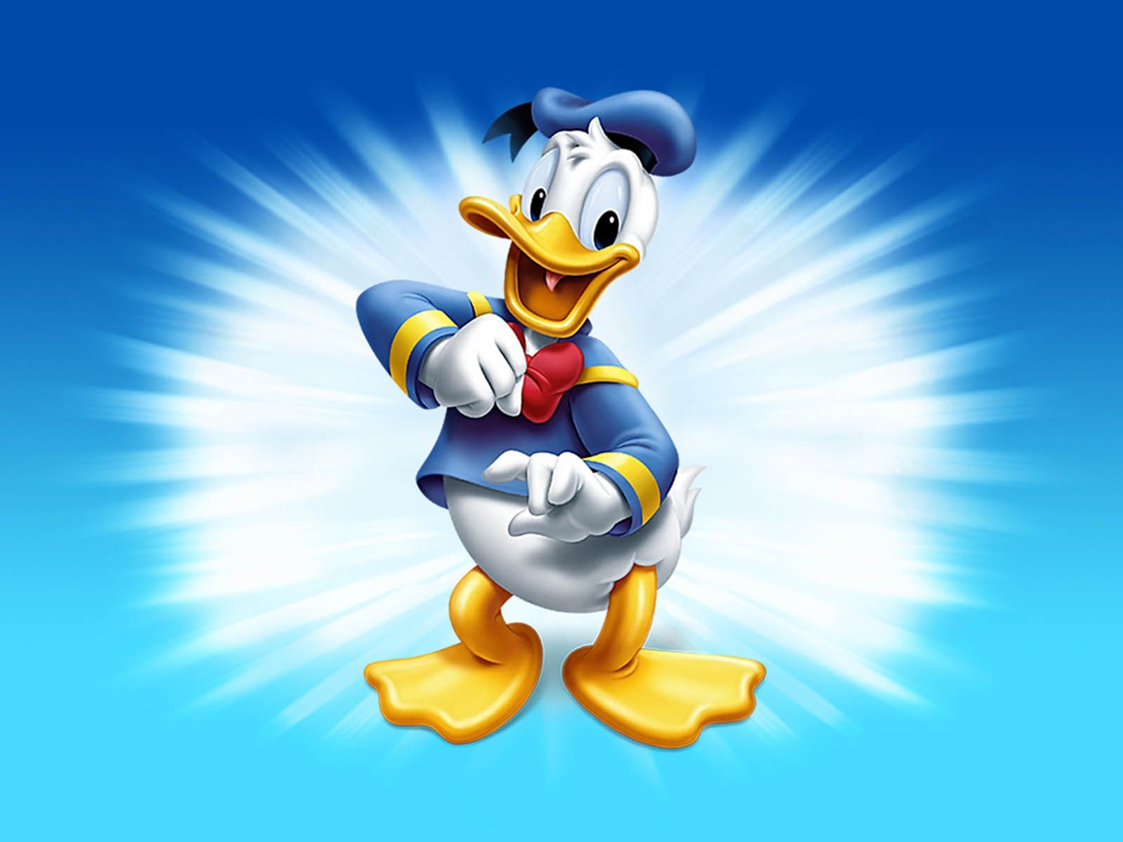 Donald Duck Cartoon Hd , HD Wallpaper & Backgrounds