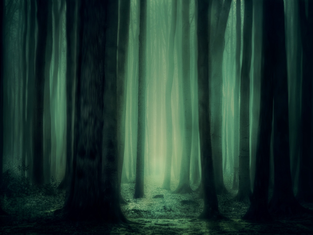 Wallpaper Forest, Fog, Trees, Dark, Gloomy - Dark Gloomy Background , HD Wallpaper & Backgrounds