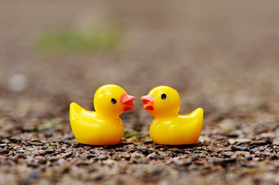 Ducks, Figures, Two, Pair, Cute, Sweet, Many, Yellow, - Cute Duck Wallpaper Hd , HD Wallpaper & Backgrounds
