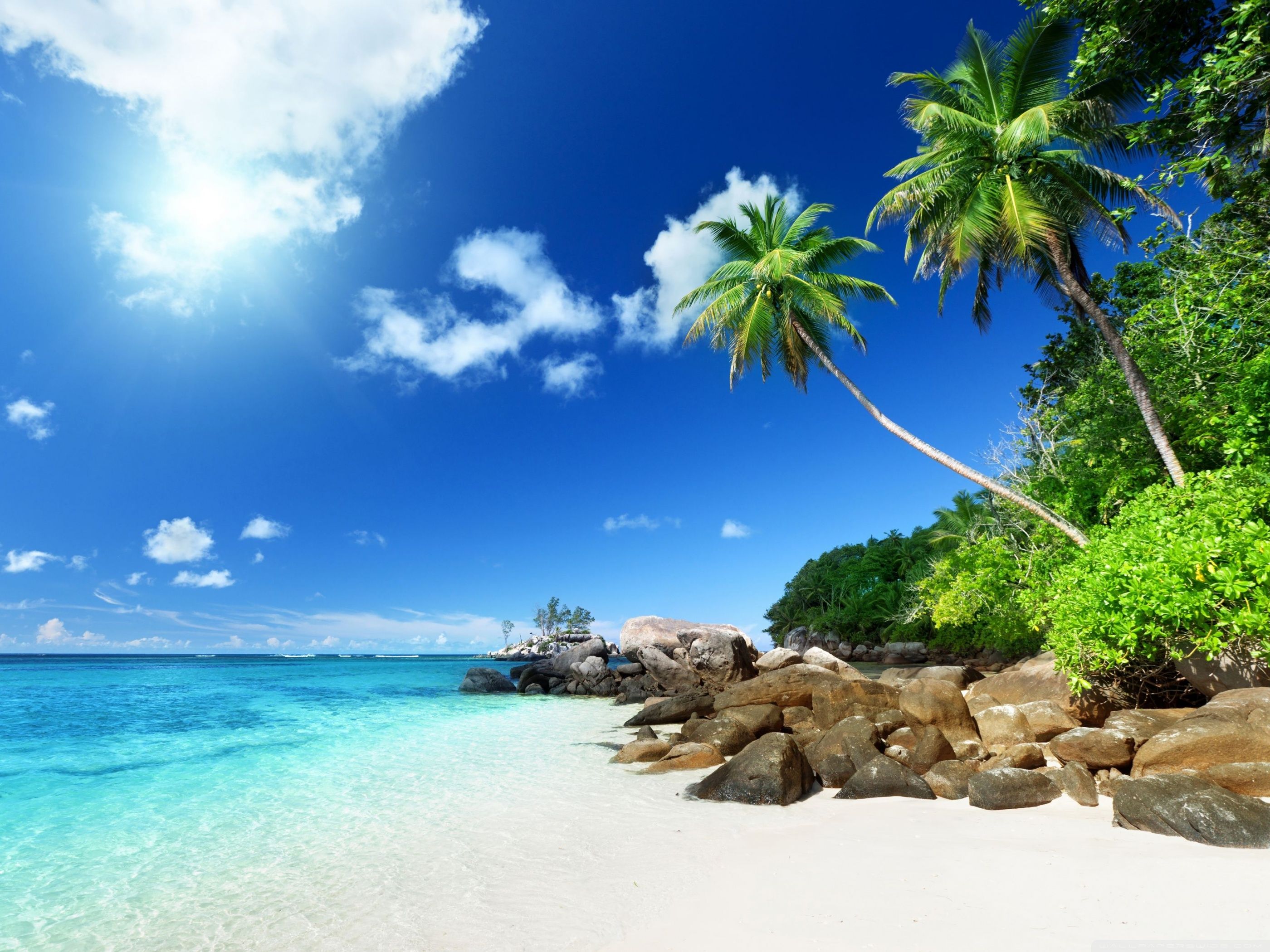 Paradise Beach ❤ 4k Hd Desktop Wallpaper For 4k Ultra - Beach 800 X 600 , HD Wallpaper & Backgrounds