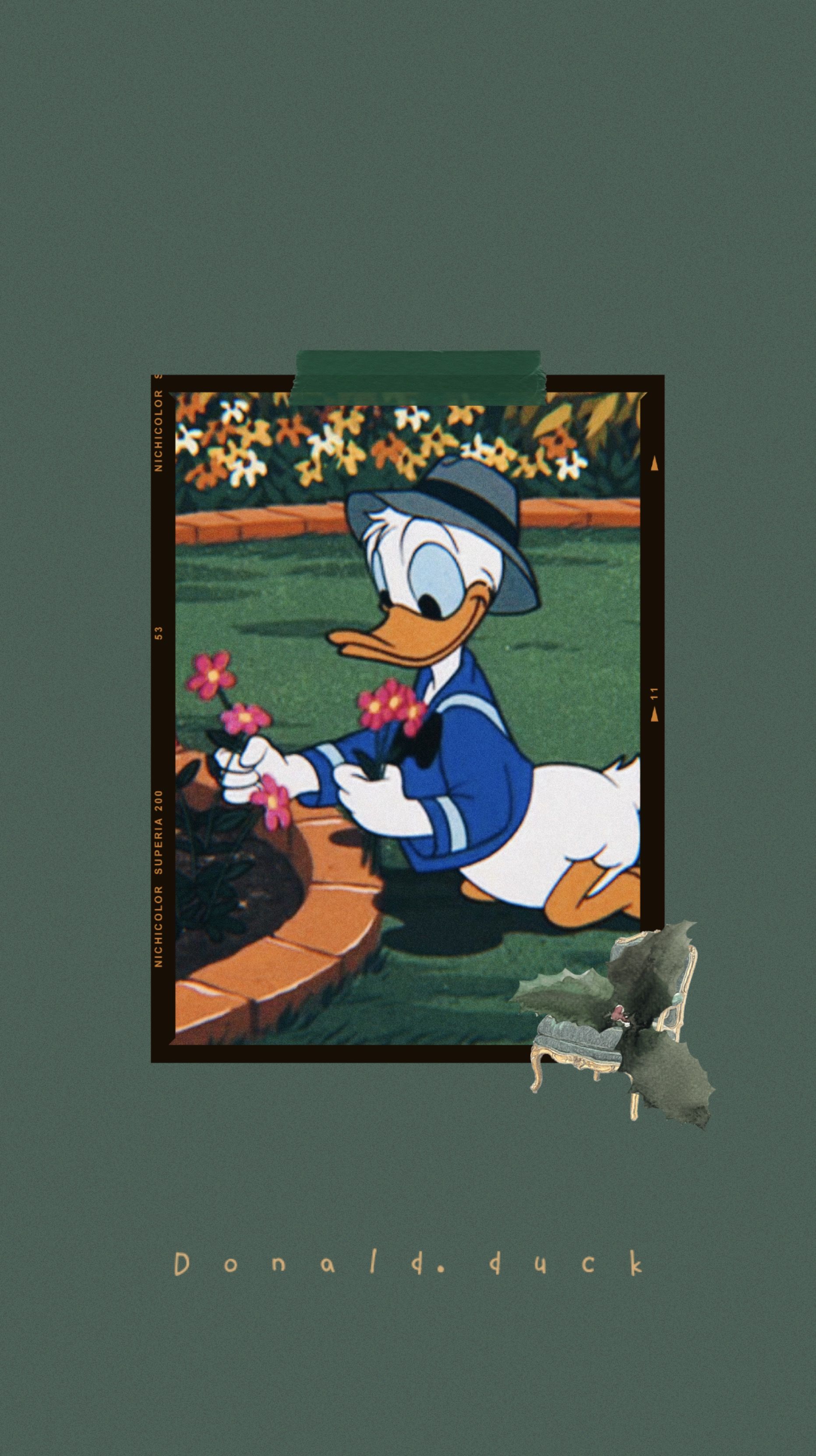 Donald Duck Aesthetic , HD Wallpaper & Backgrounds