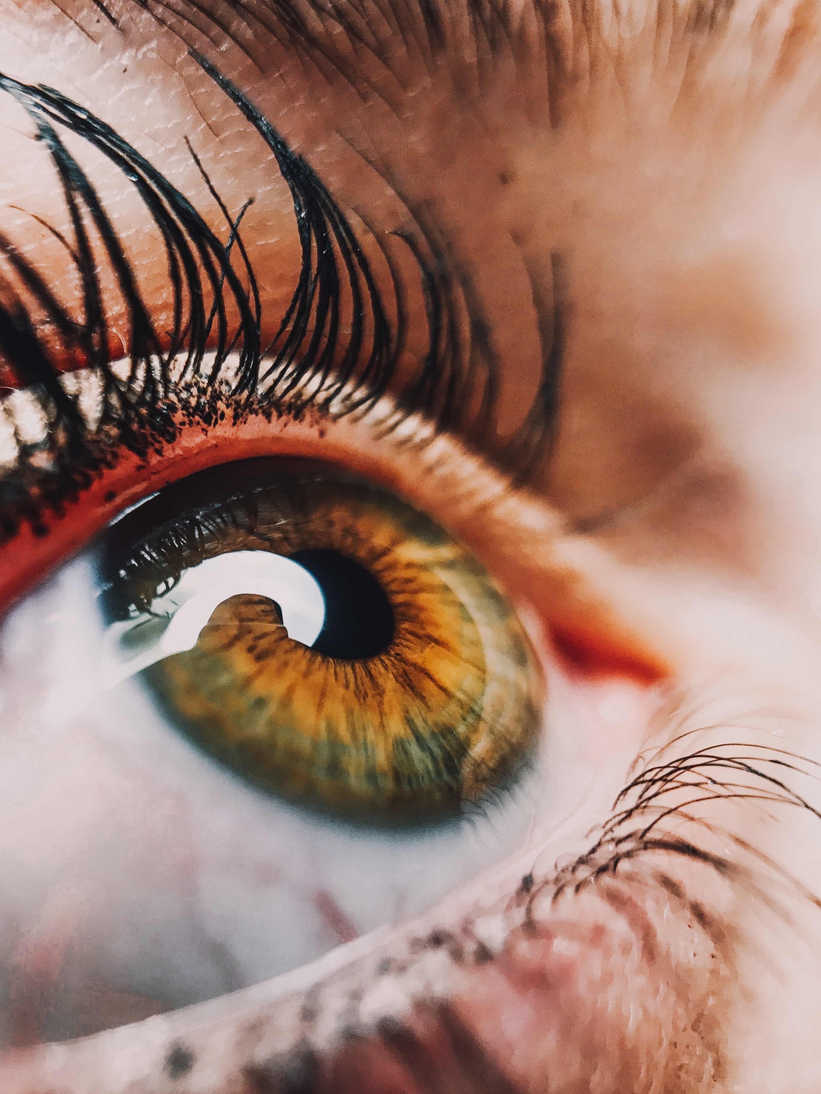 Close Up Eye , HD Wallpaper & Backgrounds