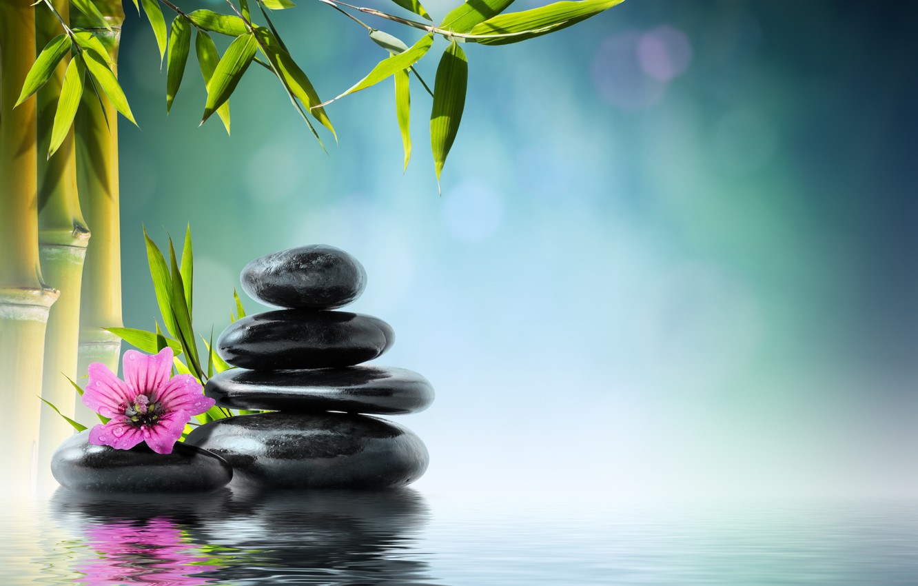 Photo Wallpaper Flower, Water, Stones, Bamboo, Flower, - Zen Stones With Flower , HD Wallpaper & Backgrounds