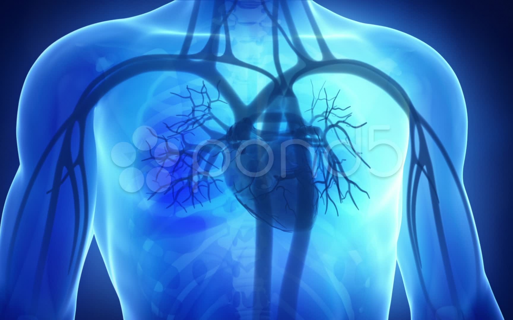 Related Medicine Wallpaper Cardiology Heart Medical - Medical Heart , HD Wallpaper & Backgrounds