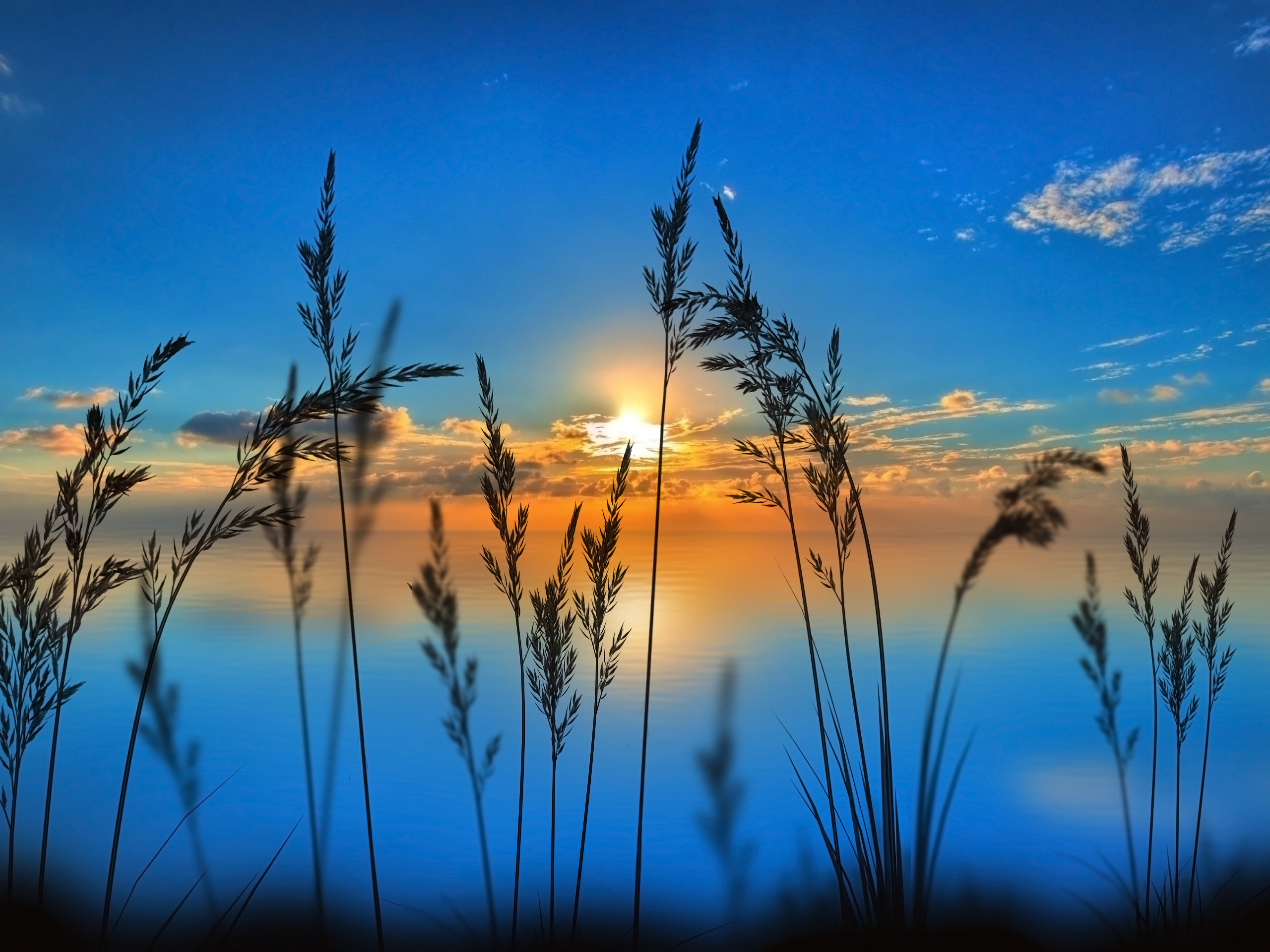 Wallpaper Of Beautiful Sunrises Picserio Beautiful Sunrise Wallpapers Sunrise 290 Hd Wallpaper Backgrounds Download Wallpaper Of Beautiful Sunrises Picserio Beautiful Sunrise Wallpapers Sunrise 290 Hd Wallpaper Backgrounds Download