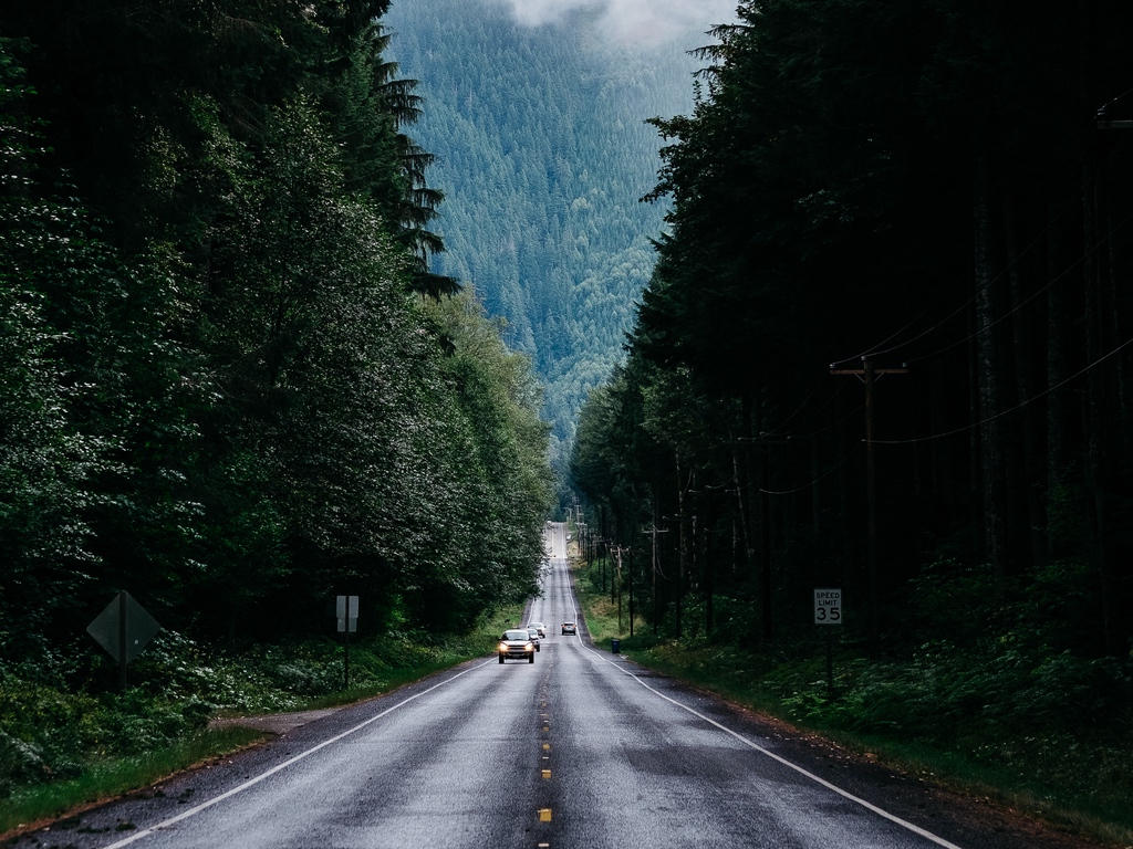 Wallpaper Road, Trees, Marking, Fog, Forest, Movement - صور عن الجنه سناب , HD Wallpaper & Backgrounds