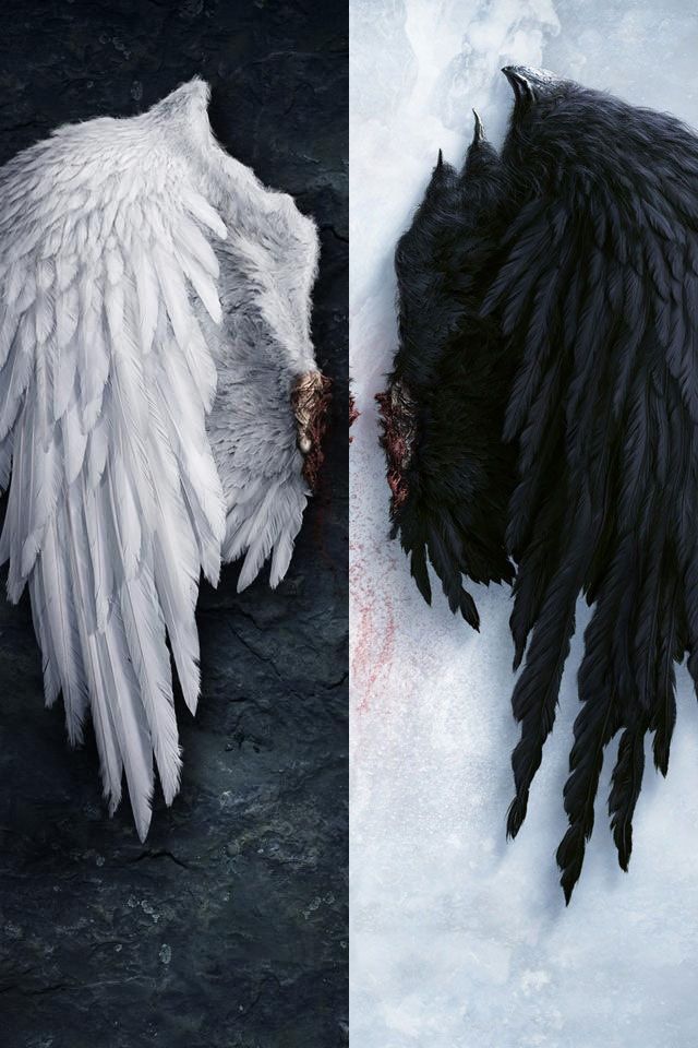 Dark And Light Wings , HD Wallpaper & Backgrounds