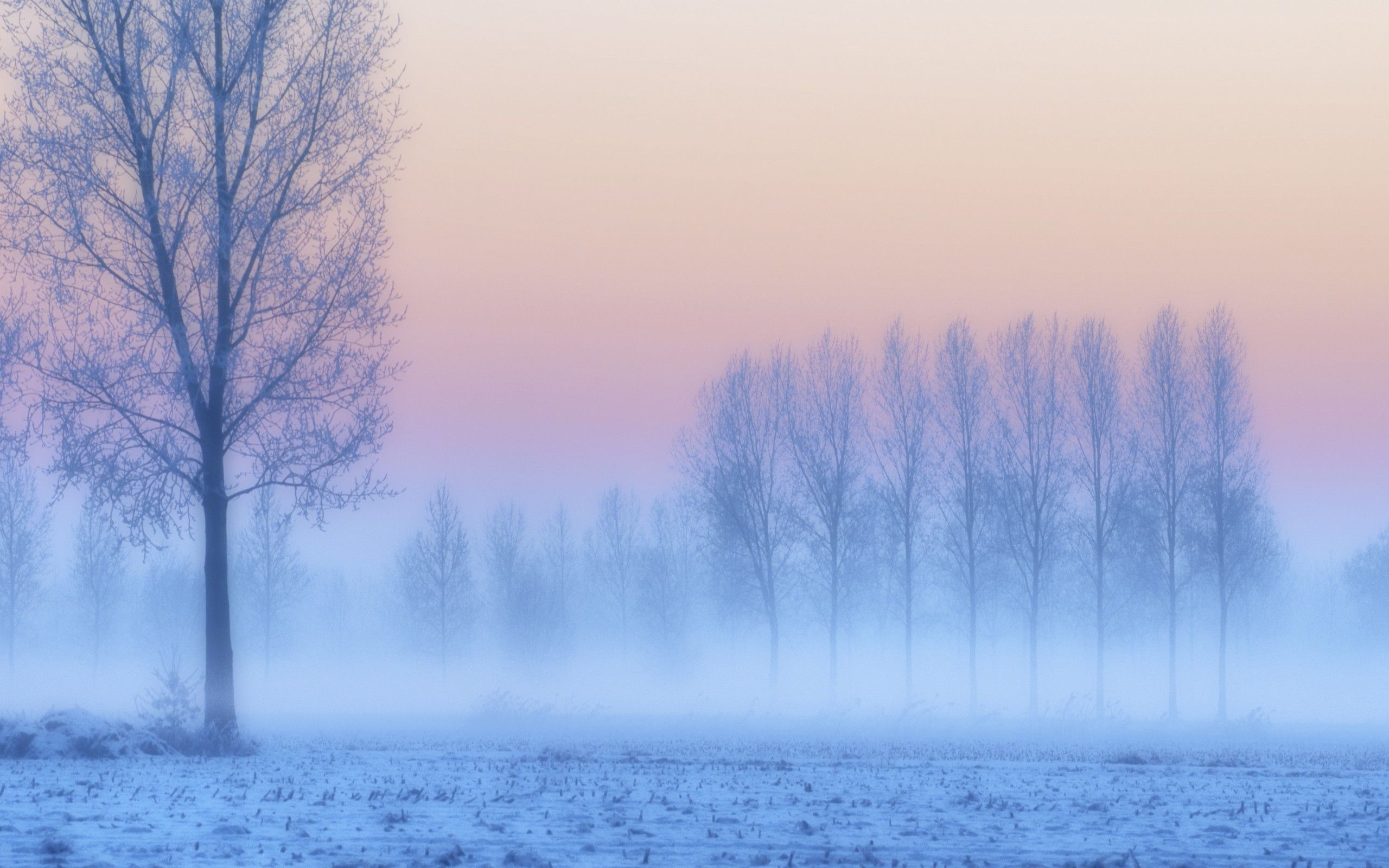 Pink And Blue Winter , HD Wallpaper & Backgrounds