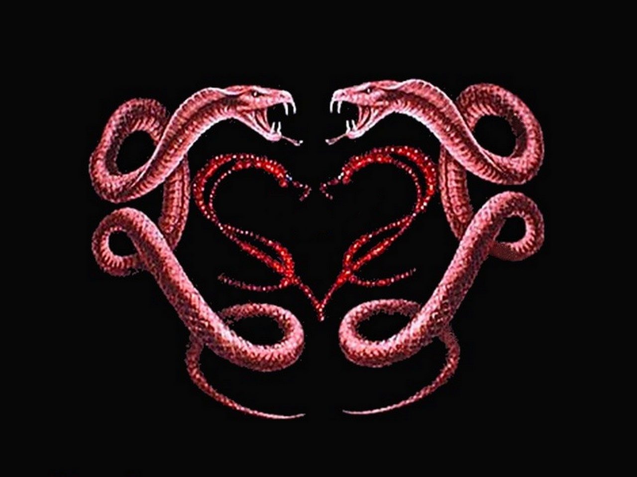 The Best Serpents Wallpaper - High Resolution King Cobra , HD Wallpaper & Backgrounds