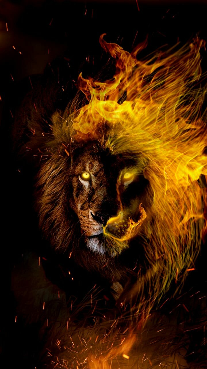 Leo Wallpaper Lion , HD Wallpaper & Backgrounds