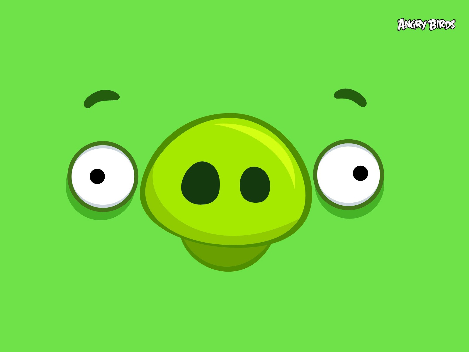 Angry Bird Pig Face , HD Wallpaper & Backgrounds