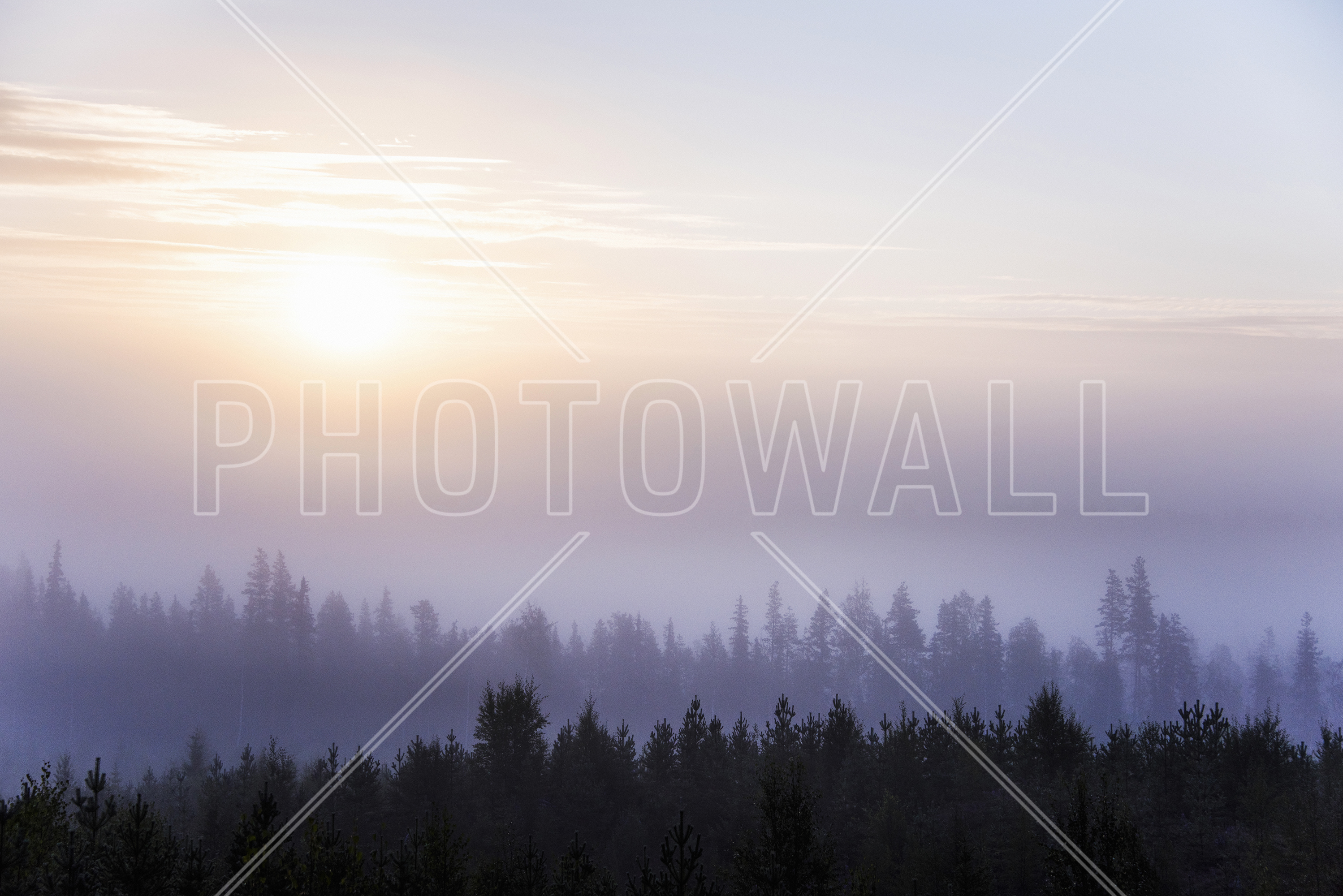 Peaceful Sunrise - Wallpaper - Spruce-fir Forest , HD Wallpaper & Backgrounds
