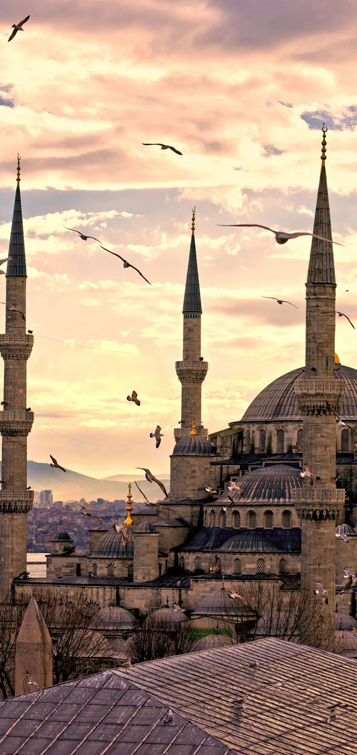 City Turkey Istanbul Wallpaper - The Blue Mosque , HD Wallpaper & Backgrounds