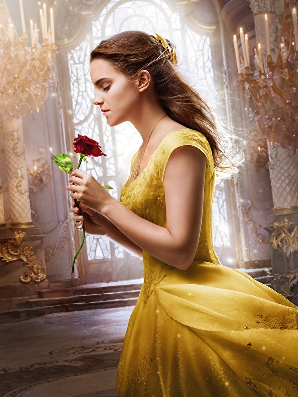 Emma Watson Beauty And The Beast , HD Wallpaper & Backgrounds