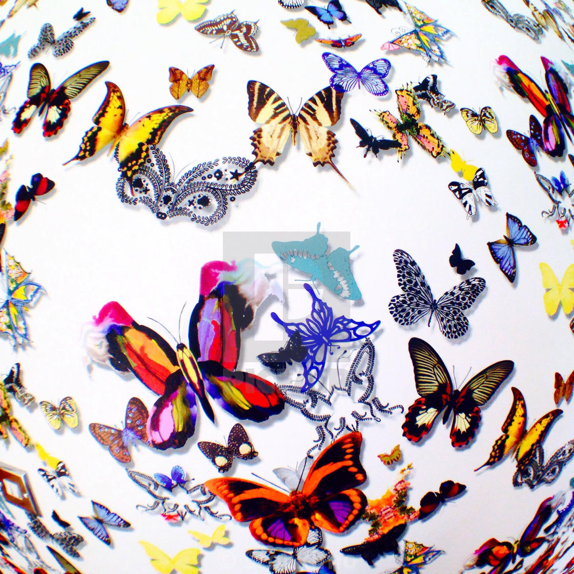 Butterfly Wallpaper - Christian Lacroix Butterfly , HD Wallpaper & Backgrounds