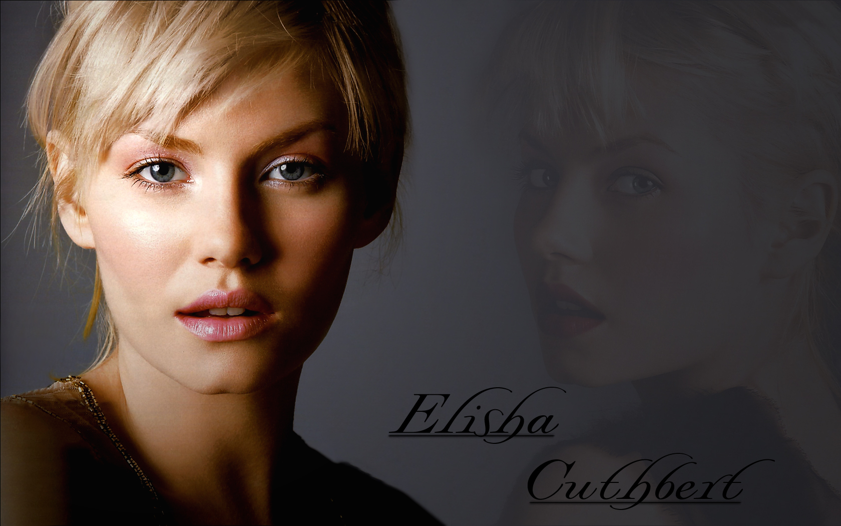Elisha - Elisha Cuthbert , HD Wallpaper & Backgrounds