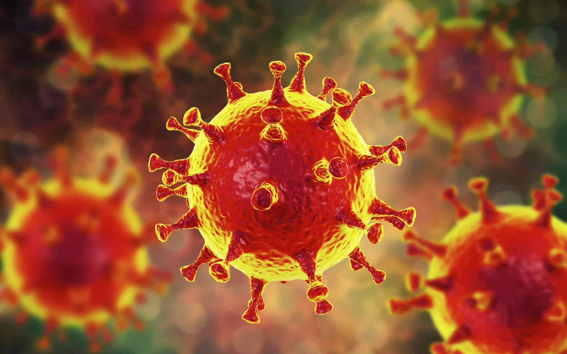 Wallpaper Virus, Coronavirus - Coronavirus , HD Wallpaper & Backgrounds