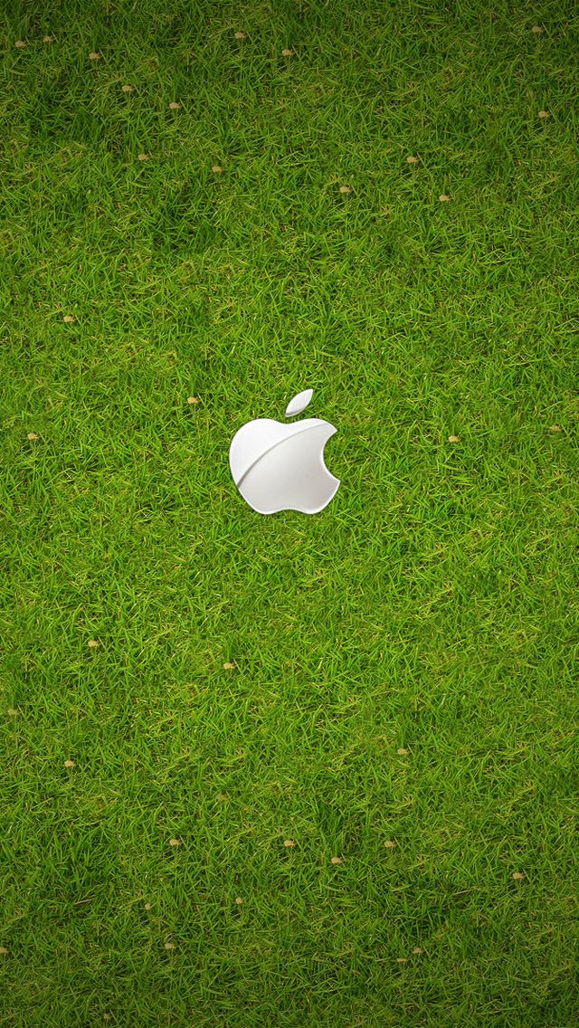 Iphone 5 Wallpaper Hd Green , HD Wallpaper & Backgrounds