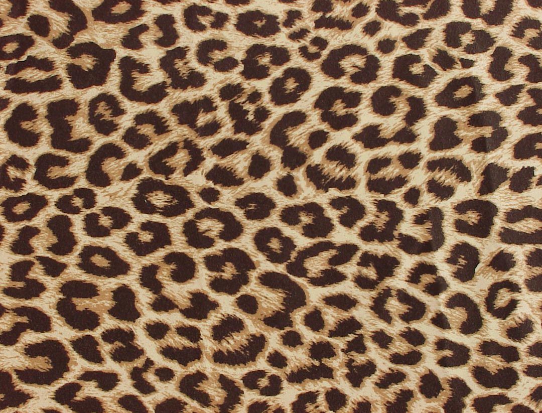 Animal Print Desktop Wallpaper - Leopard Print , HD Wallpaper & Backgrounds